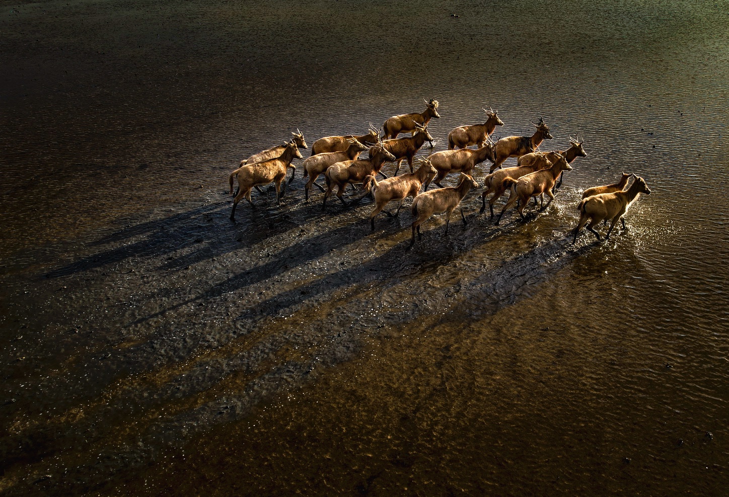 “泥之影”随行摄影征集启事（仅限手机）