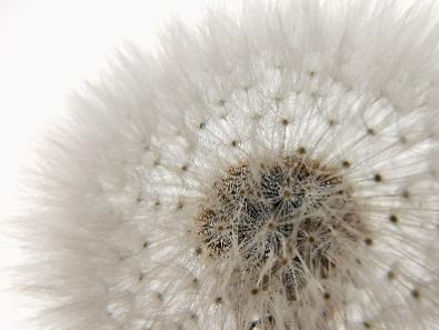 华为Mate20矩阵多焦相机系统亮相,透视手机摄