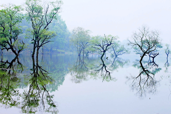 有摄友说,去麻洲,要学会忘记时间,忘记过去,把