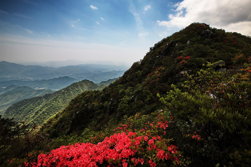 白崖山杜鹃 - 白云深处 靖安人家