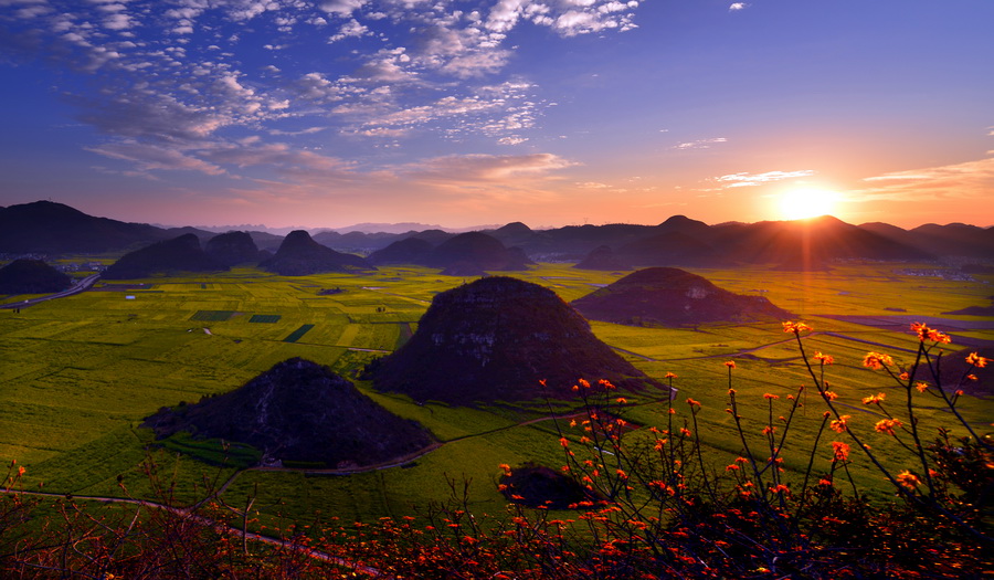 云南 曲靖 罗平 摄影时间 2014,3.联系电话 139