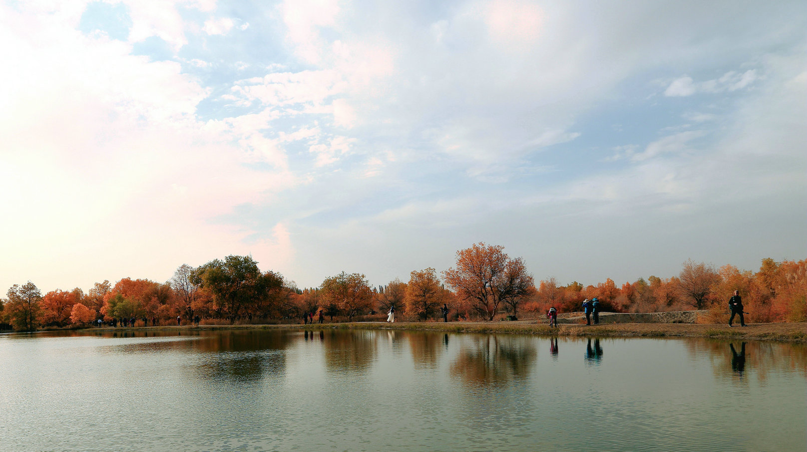 西部采风行--15--金塔胡杨林 位于甘肃省金塔县