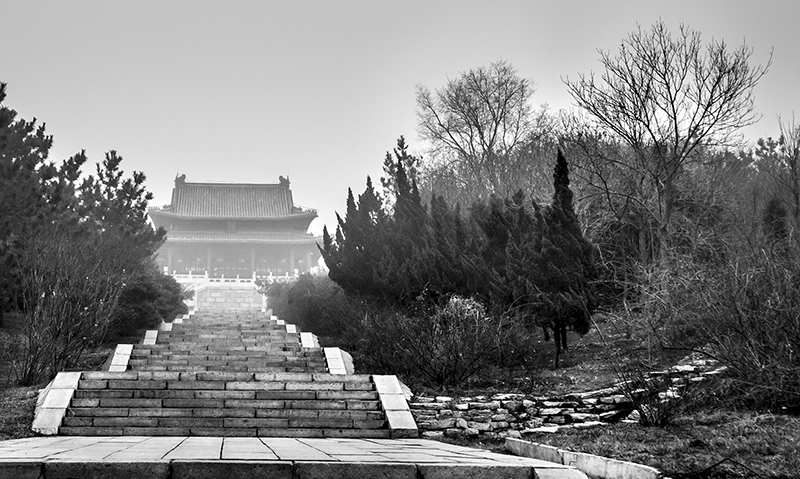 在冬季有雾的早晨,黑白灰成为了这个世界的主