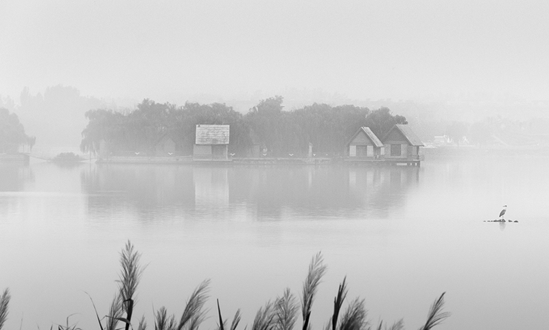 在冬季有雾的早晨,黑白灰成为了这个世界的主