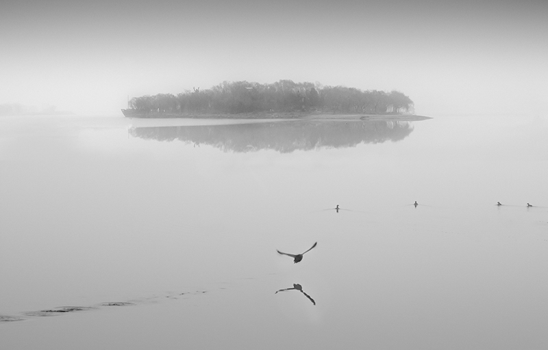 在冬季有雾的早晨,黑白灰成为了这个世界的主