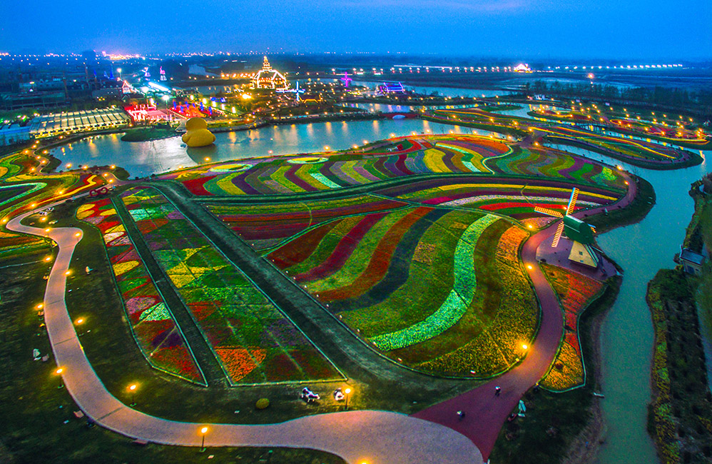 航拍江苏荷兰花海夜色 - 报名中国好风光--千年