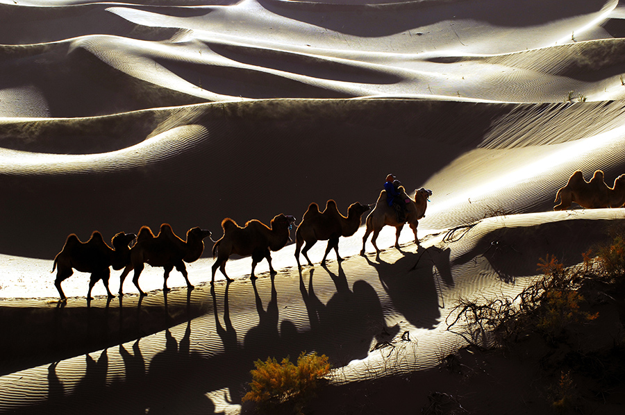 天下玉,平洲器。这是南海桂城平洲玉器街升级