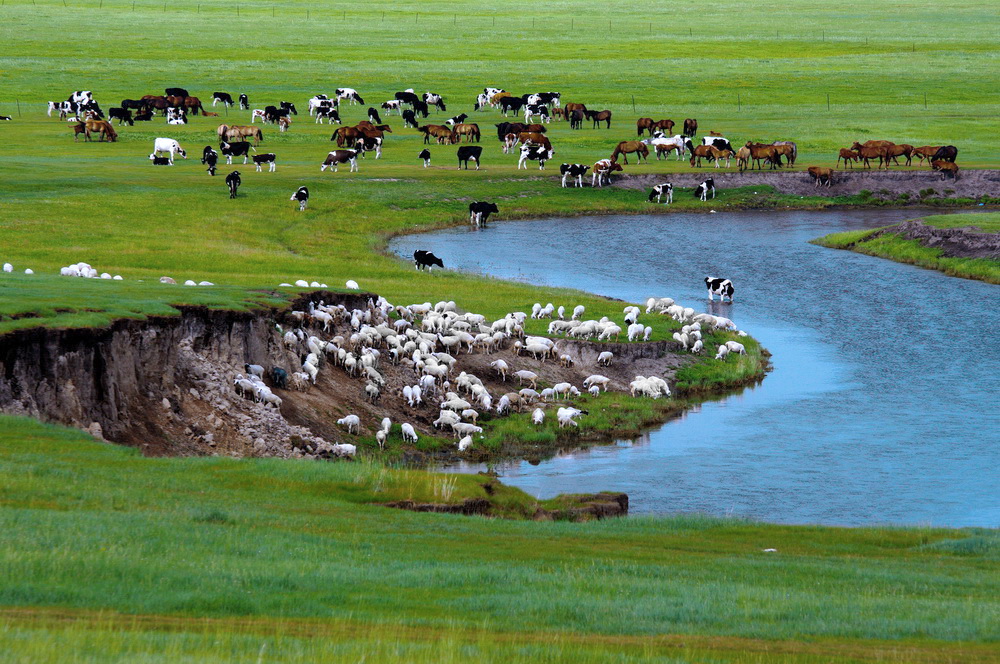 【醉美草原】-《大众摄影》大庆俱乐部