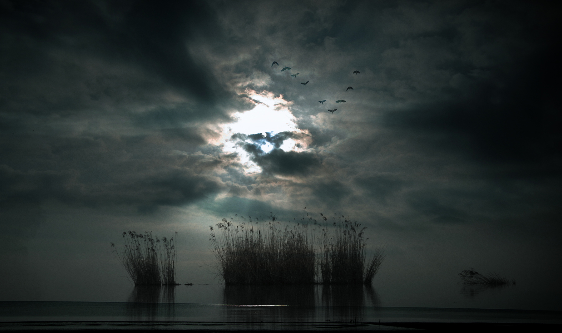 后的水源-2014年张张丽双周赛第7期《苍凉》