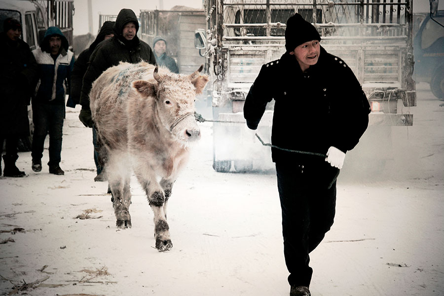 牵牛人-包商银行杯全国第五届小企业贷款摄
