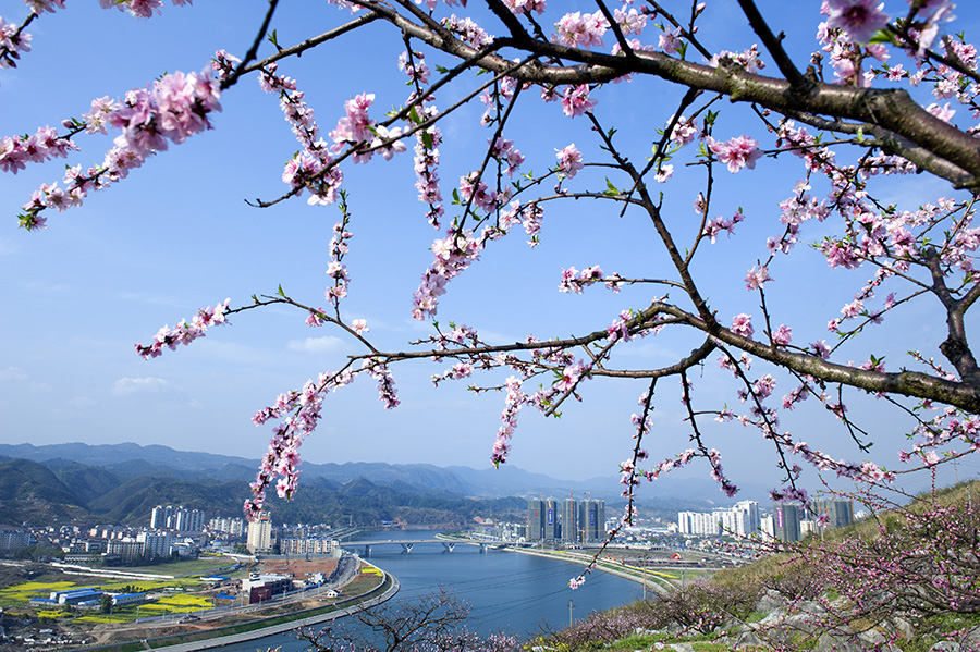 {小城春色}.