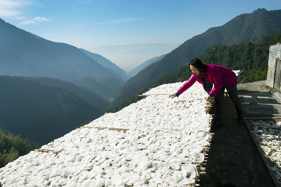 天好晒个秋-包商银行杯全国第五届小企业贷款