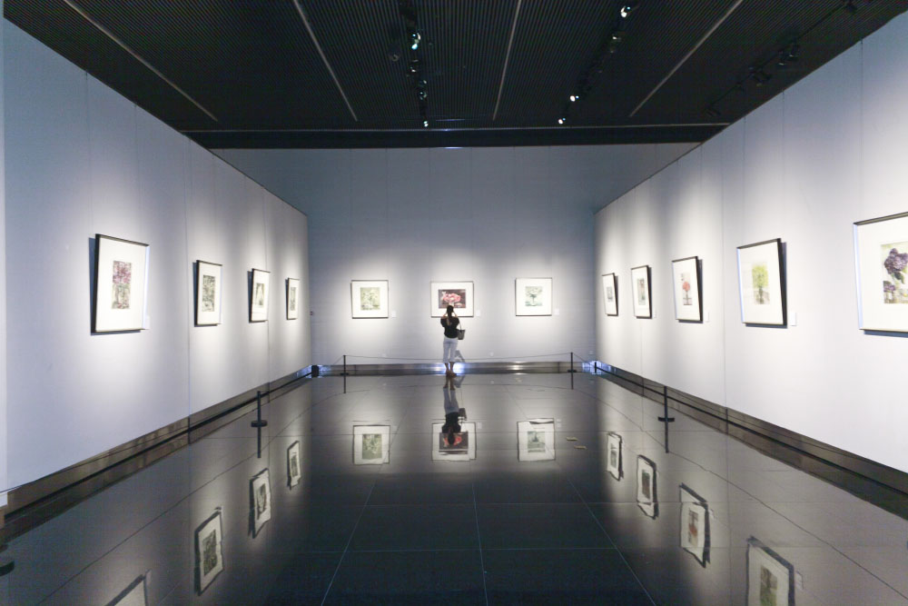 江苏省美术展览馆画展-美丽中国文化新地标