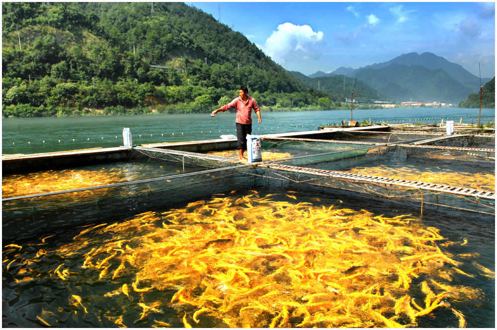 水上养殖-包商银行杯全国第五届小企业贷款