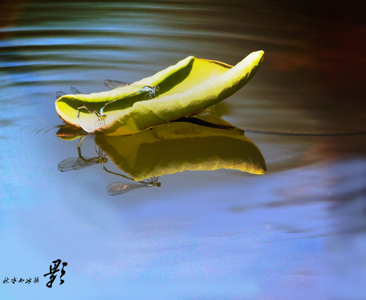 新生 - 白云深处 靖安人家