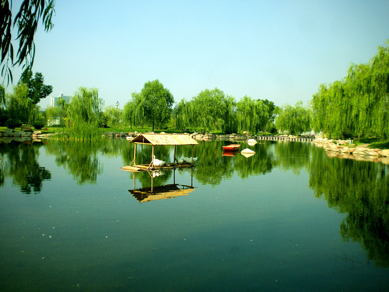 悠然自得-首届中国园林摄影大展10月15日截