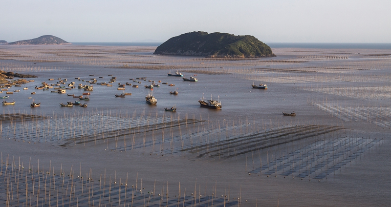 《港湾》-宁德霞浦蕠菜养殖场-携手腾飞全国