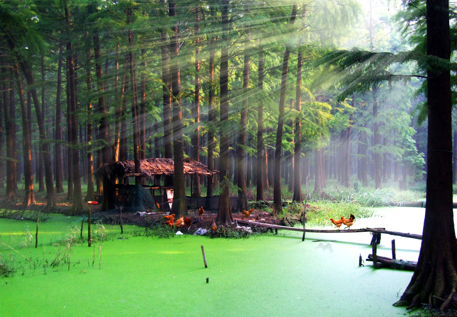 快乐老家-首届“中国园林”摄影大展10月15日截稿-大众摄影网