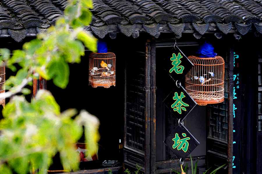 茗茶坊-包商银行杯全国第五届小企业贷款摄