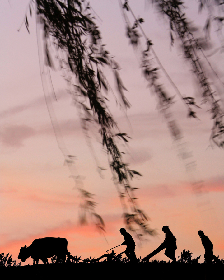 春耕-包商银行杯全国第五届小企业贷款摄影