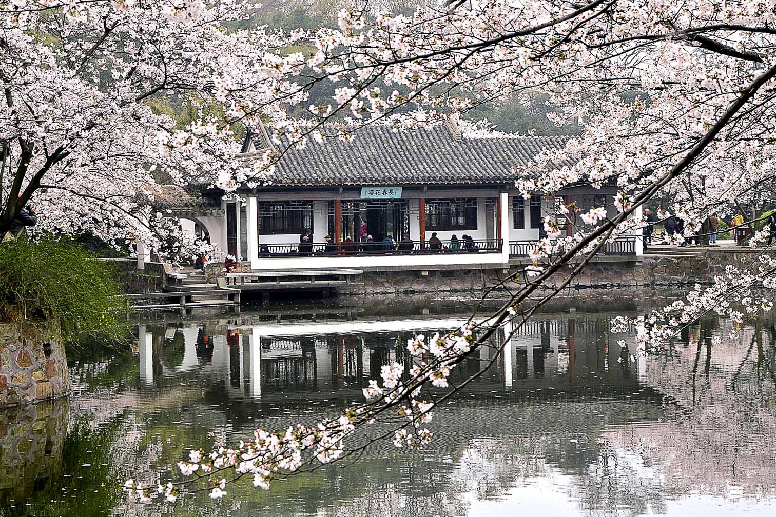 参展《中国园林》-首届中国园林摄影大展10