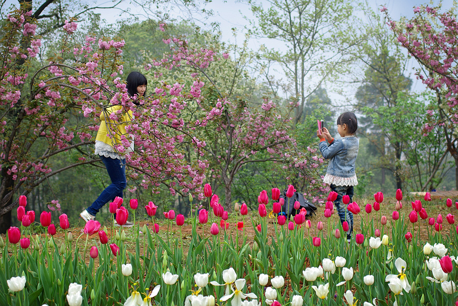 最是一年春好处-首届中国园林摄影大展10月
