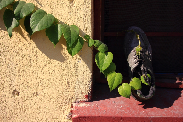 光阴如梭-2014年腾龙网络天地征稿12月主题