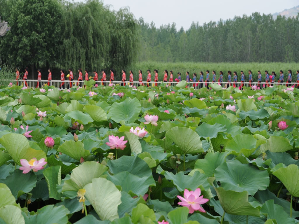 乞巧去 2014年7月拍摄于陇南市西和县 银河书