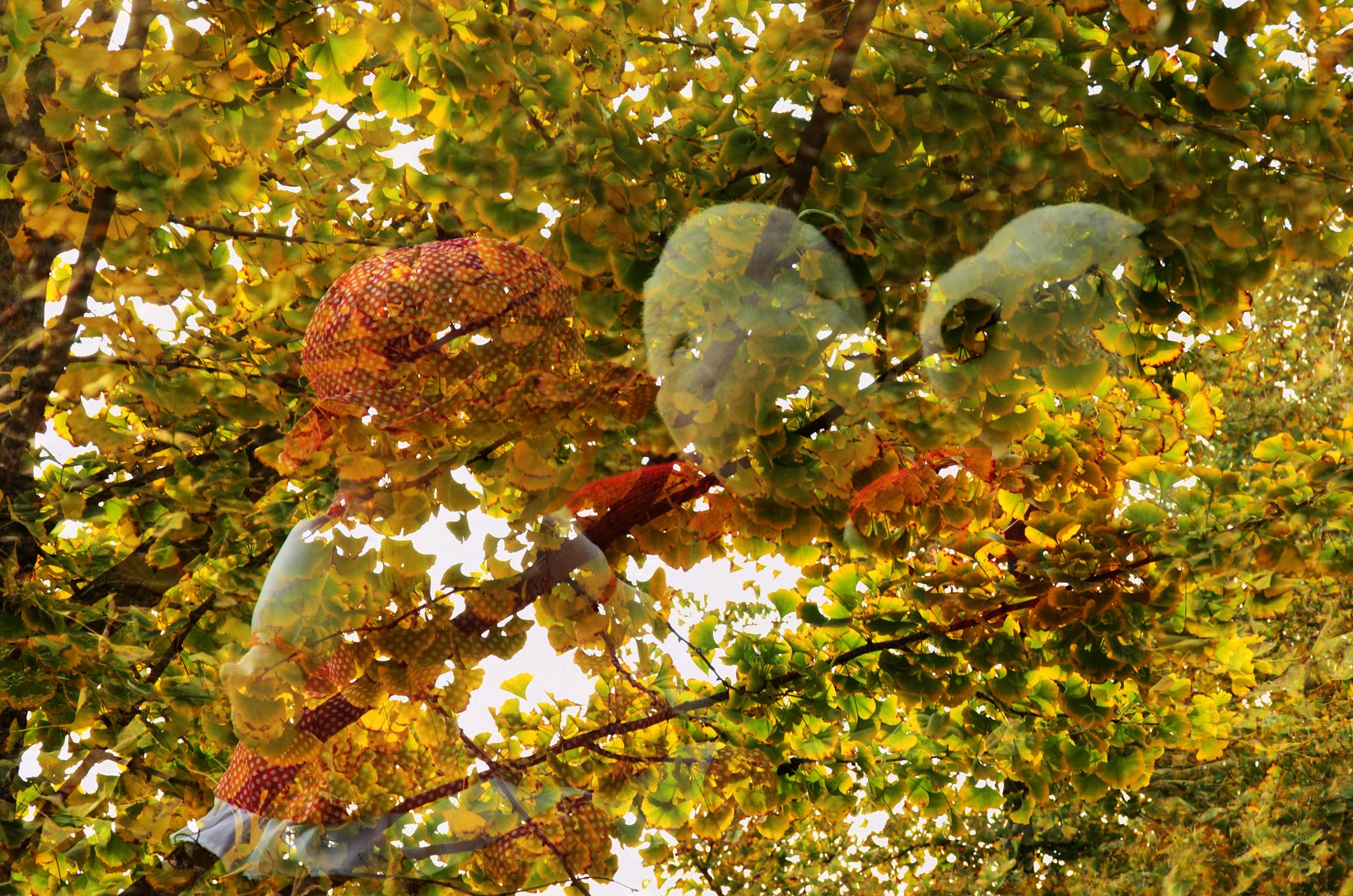 整装嫁她乡2014.11、19邳州港上-一叶一世