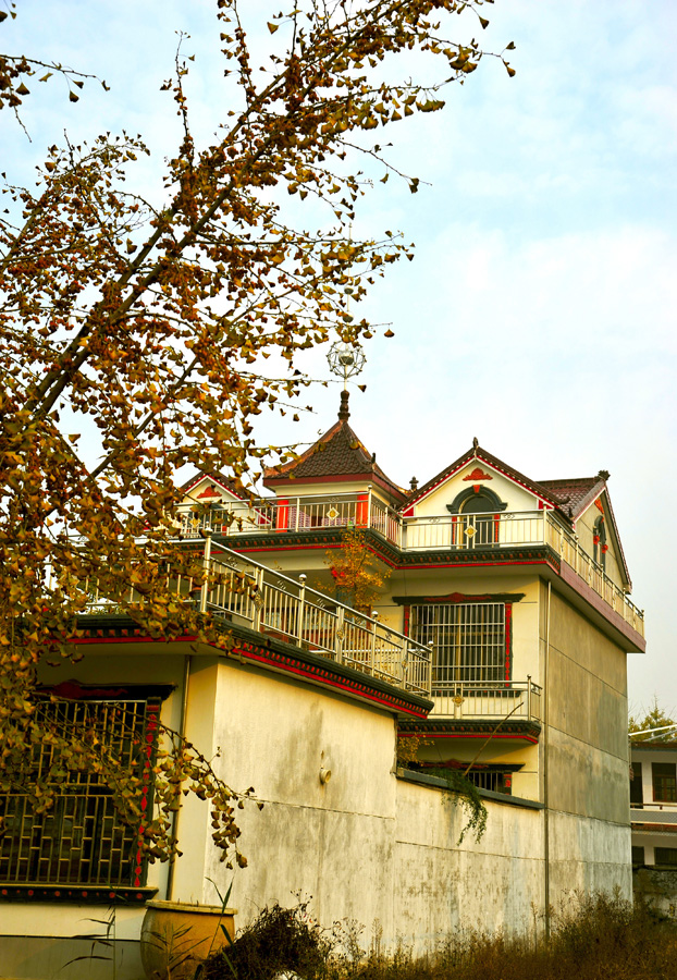 新农村.2014.11.09.邳州姚庄-一叶一世界邳州