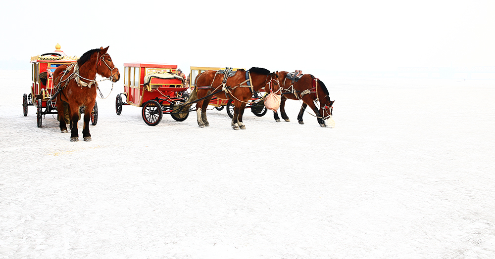 三套车-《大众摄影》扬州俱乐部(1星)
