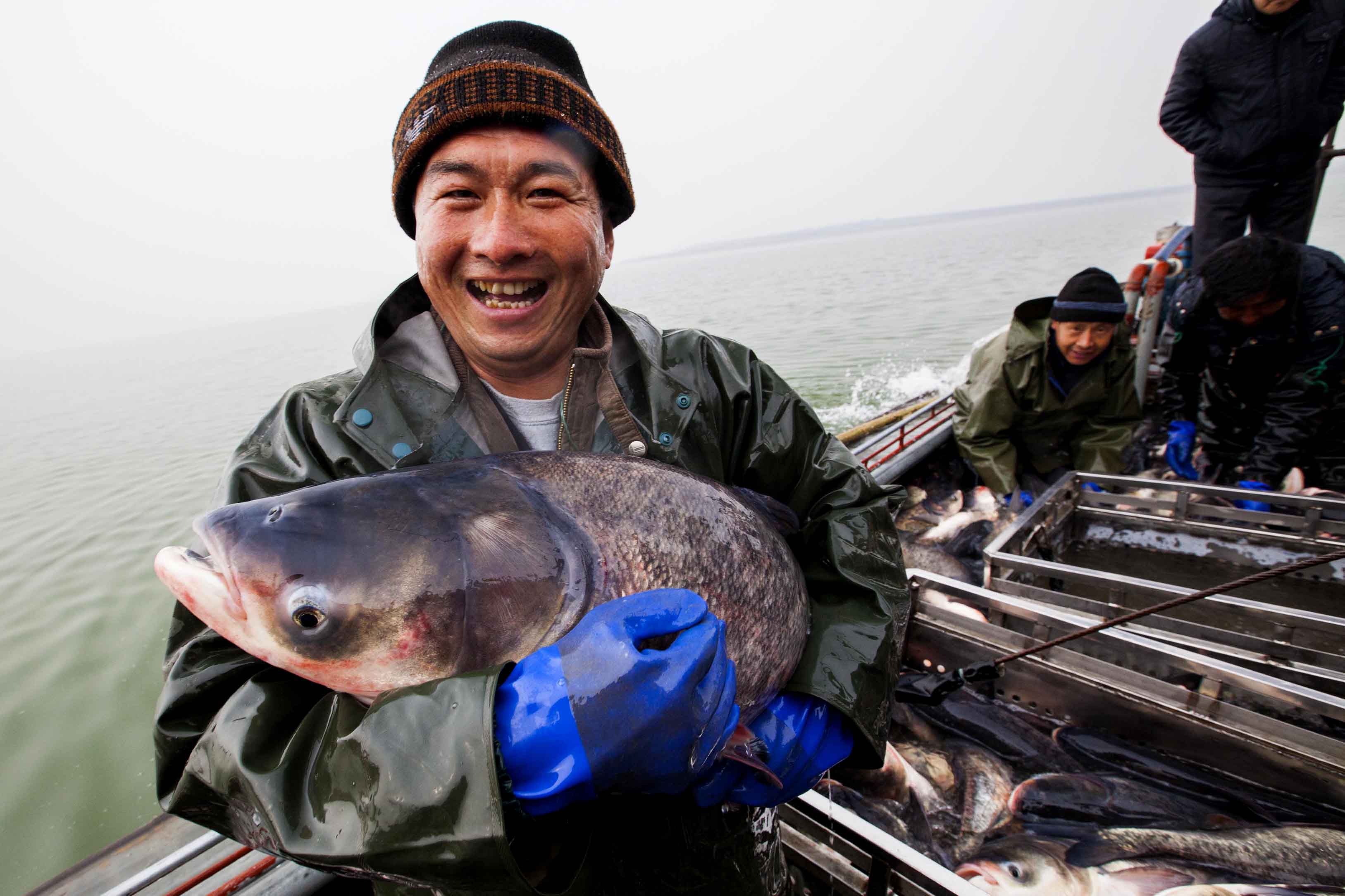 鱼肥人欢-《大众摄影》江苏俱乐部(3星)