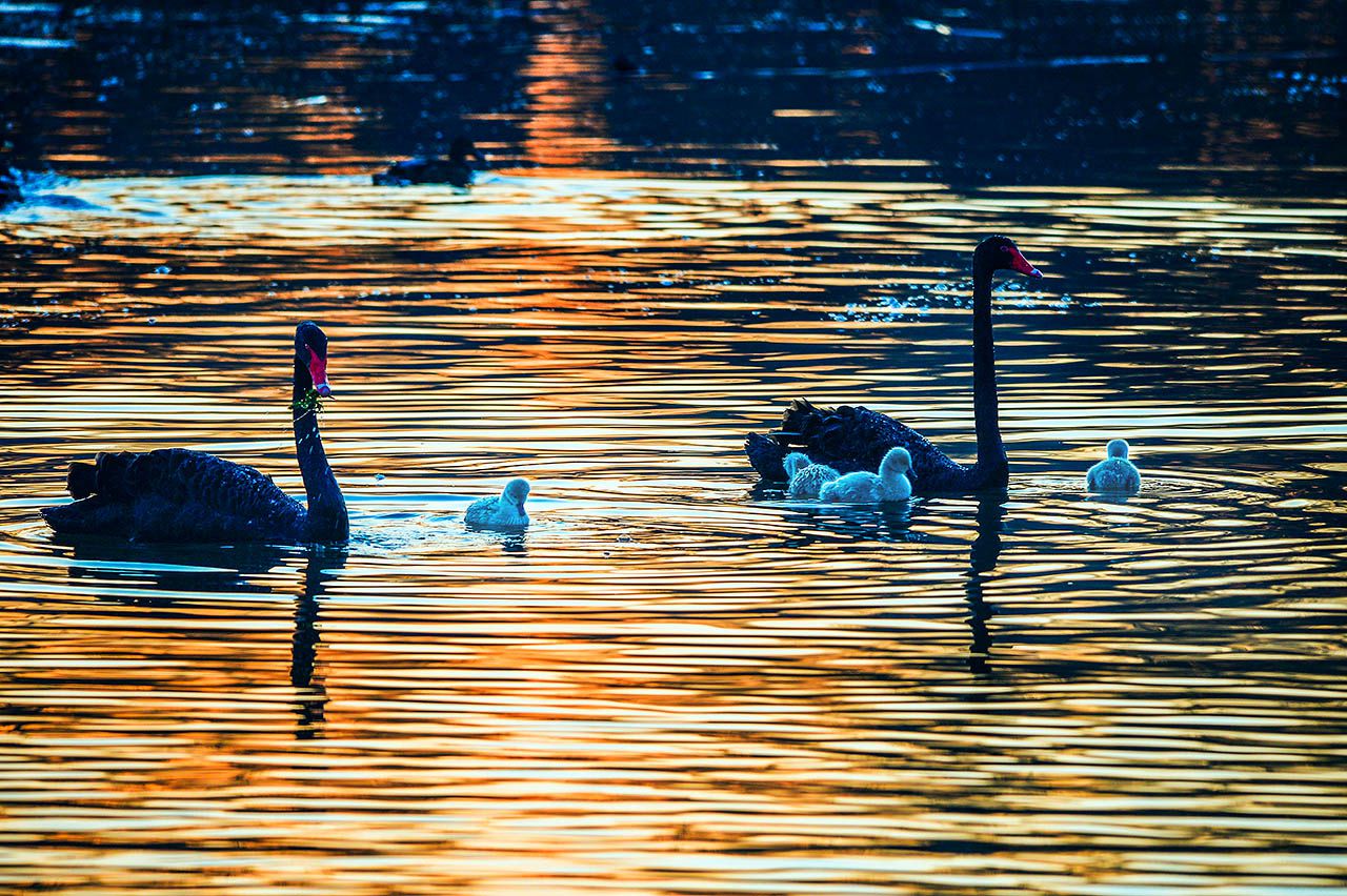 冬日里的温暖幸福生活-《大众摄影》北京俱乐