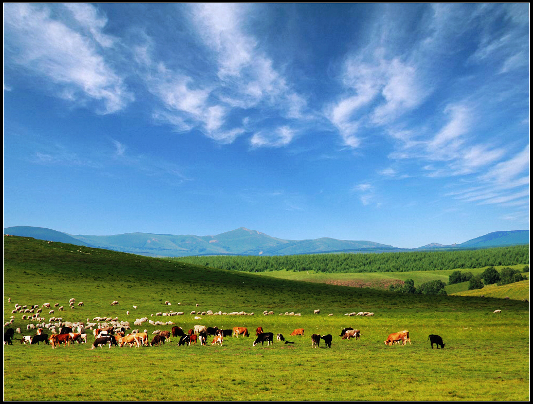 美丽的大草原-《大众摄影》内蒙古俱乐部
