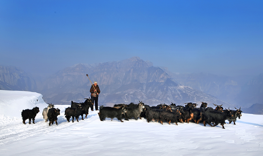 太行放羊人-巍巍太行山 百变大峡谷 中国林州