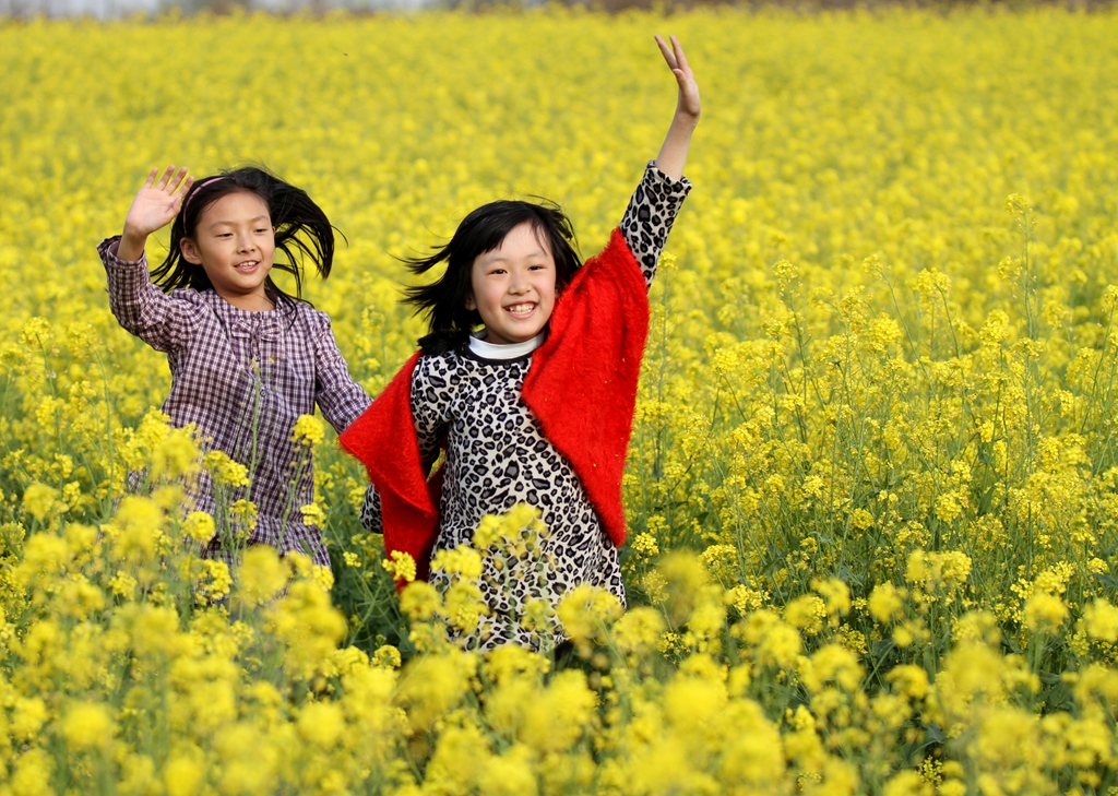 油菜花开-《大众摄影》枣庄俱乐部(2星)