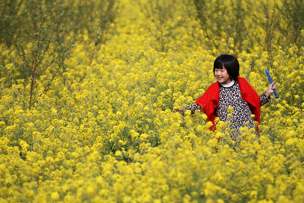 油菜花开-《大众摄影》枣庄俱乐部(2星)