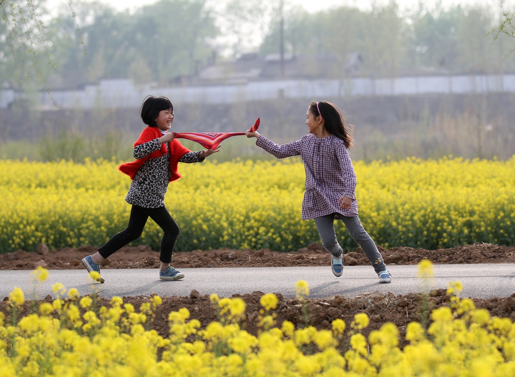 油菜花开-《大众摄影》枣庄俱乐部(2星)