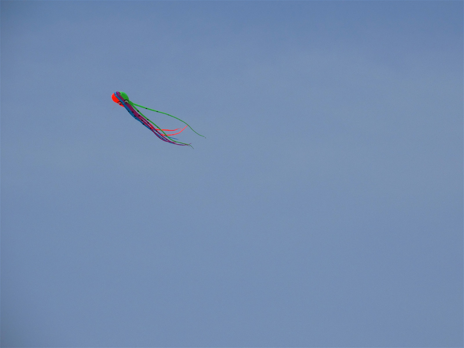 延安新城风筝节