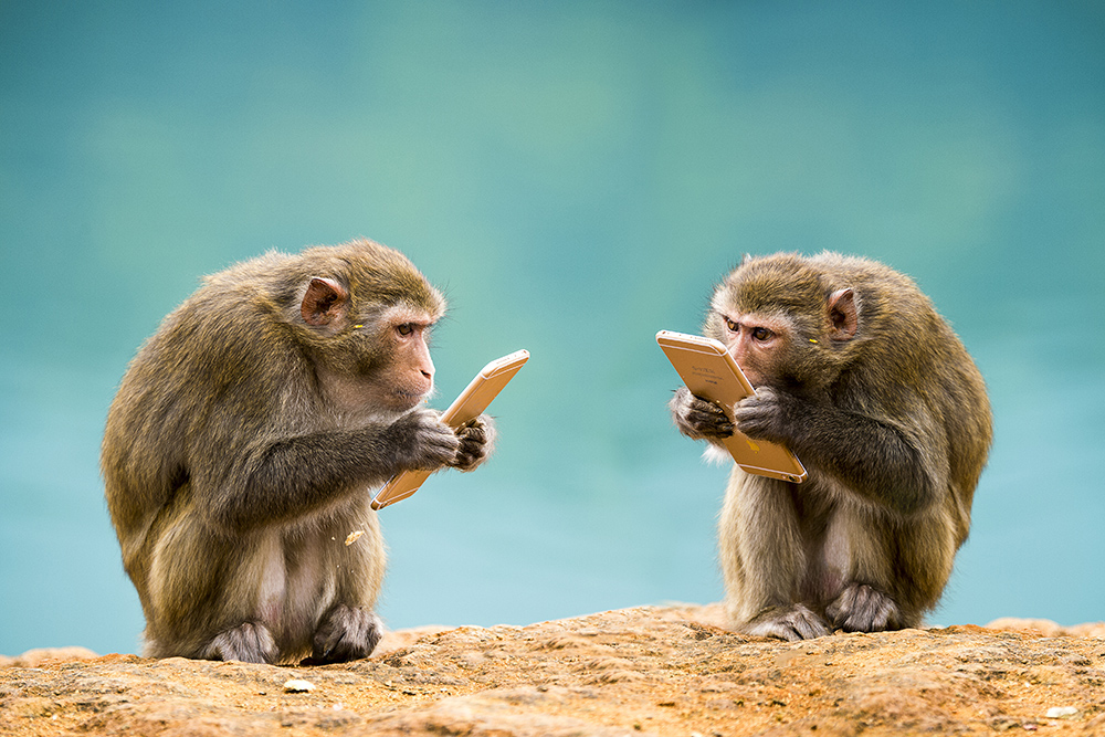 低头族-《大众摄影》俱乐部团体会员--广东论坛