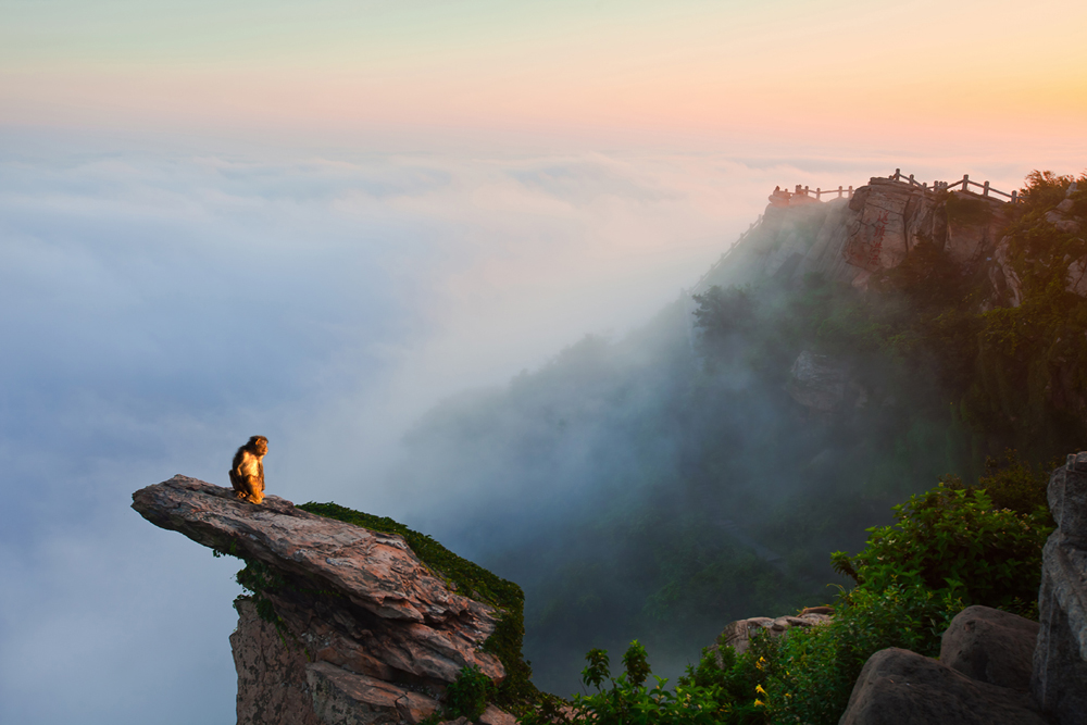 坐看云卷云舒(全国联赛推荐帖)