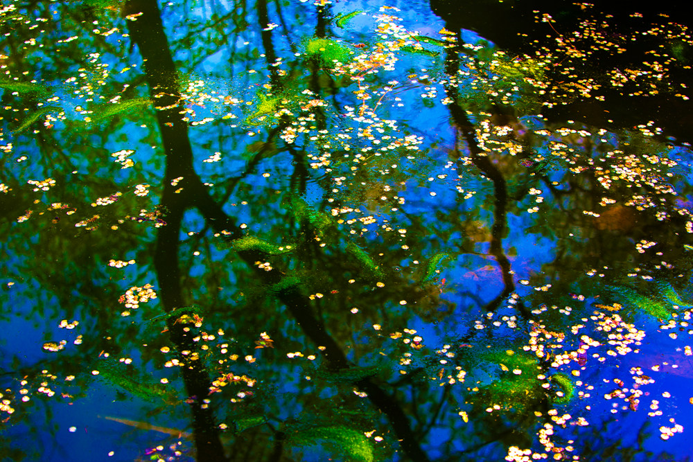 落英缤纷-《大众摄影》俱乐部团体会员--北京论坛俱乐部(1星)-大众摄影网