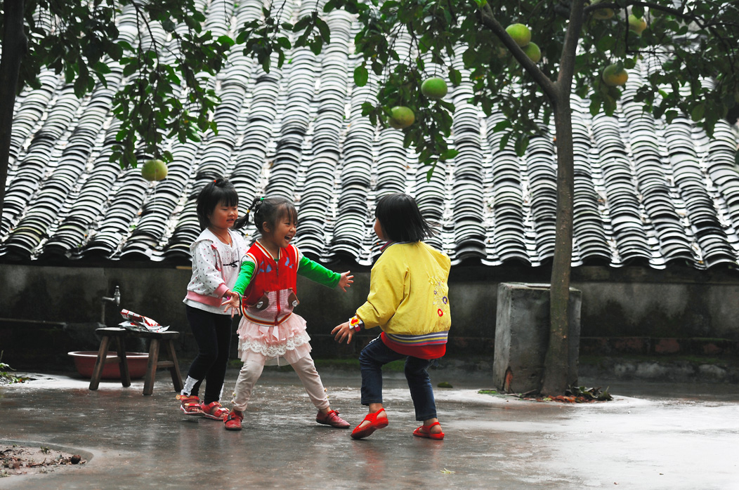抓小鸡-《大众摄影》俱乐部团体会员--四川论坛