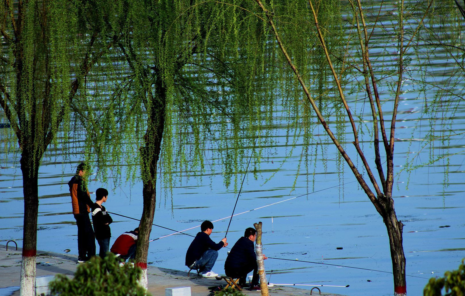 垂钓 拍于社旗赵河公园-《大众摄影》俱乐部团