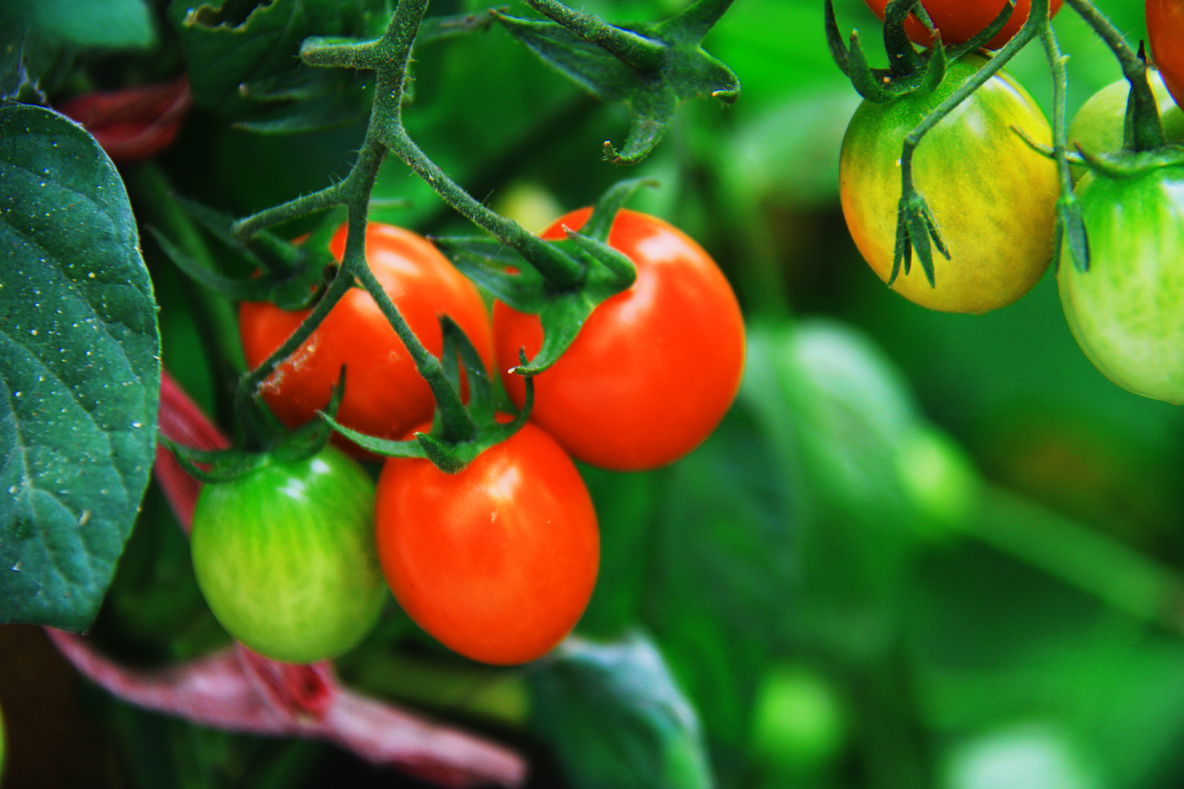 生态小品-《大众摄影》俱乐部团体会员--江苏论