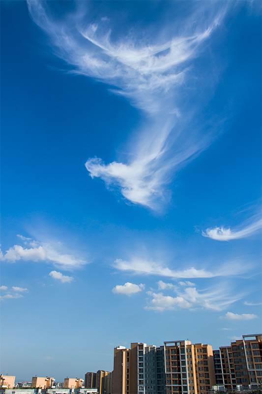 凤翔九天-《大众摄影》俱乐部团体会员--山东论