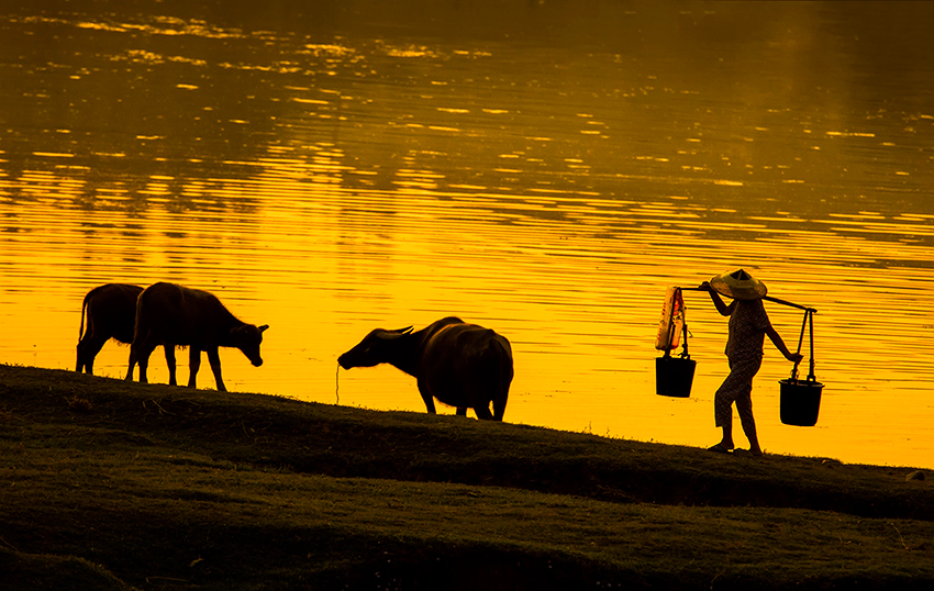 乡下人的致富梦-《大众摄影》俱乐部团体会员