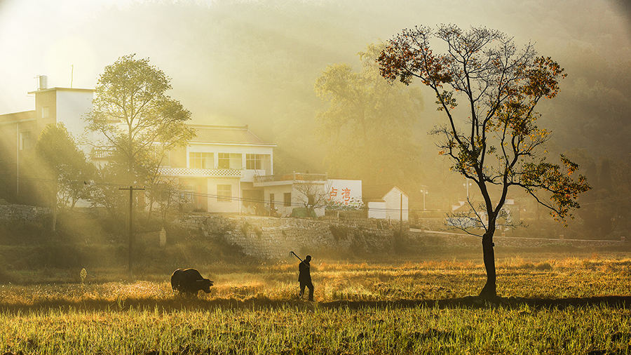 山村秋晨-《大众摄影》俱乐部团体会员--河南论