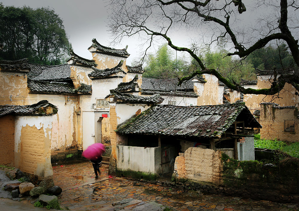 雨中古村-钱洪鹰-滳水百合