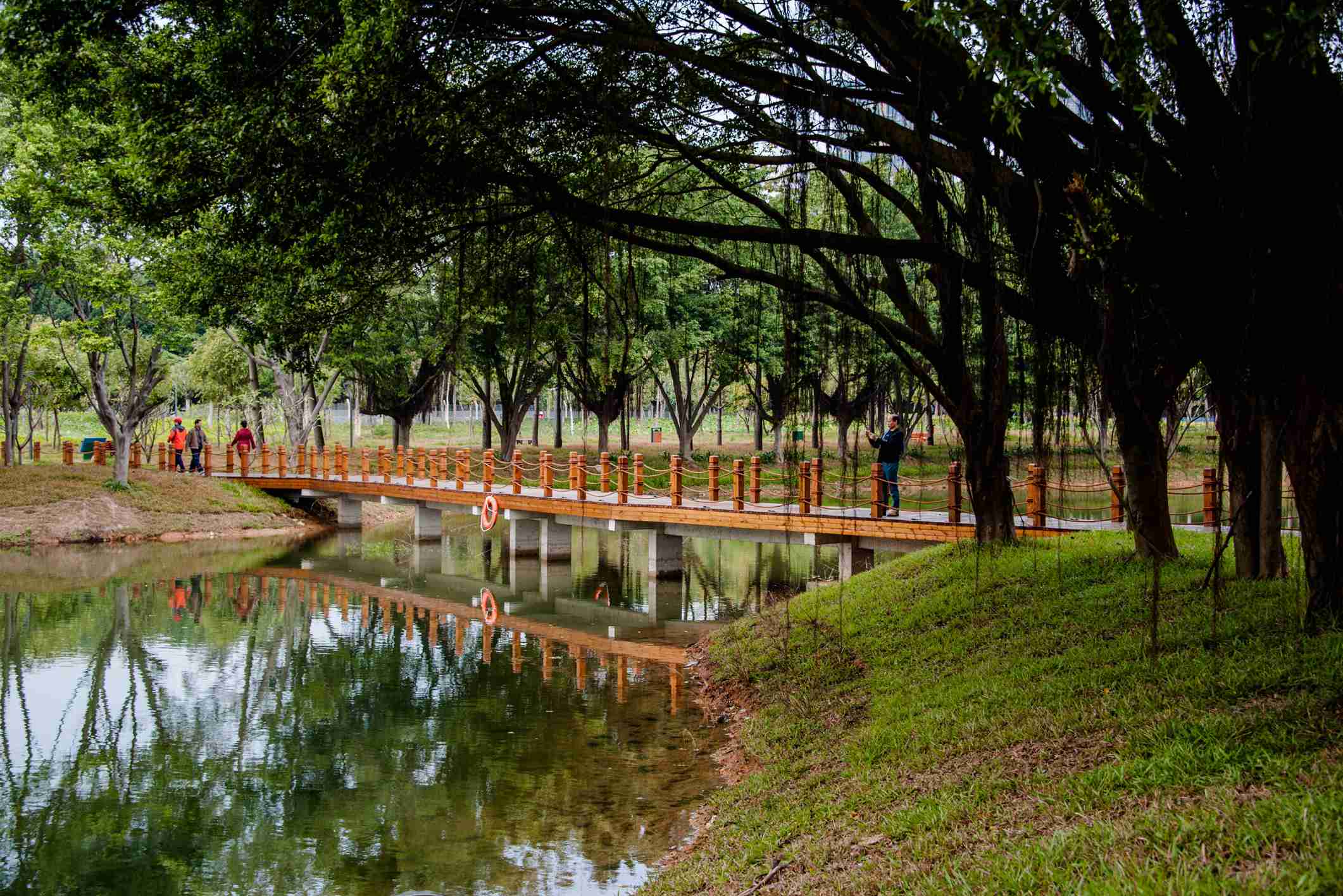 深圳福田红树林生态公园开园拾零-行摄天下-大众摄影网 -